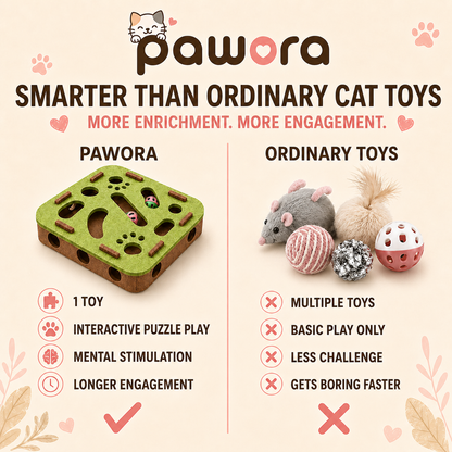 Pawora PurrMaze™